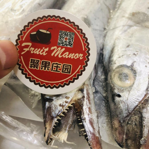 【2025新正宗整条无冰3指宽高端大气东海带鱼】，整条箱装，船冻锁鲜，送礼/家庭自用都是非常合适，餐桌上的美食！又是一年带鱼季节，火爆郑州的美味，简单易加工 商品图4