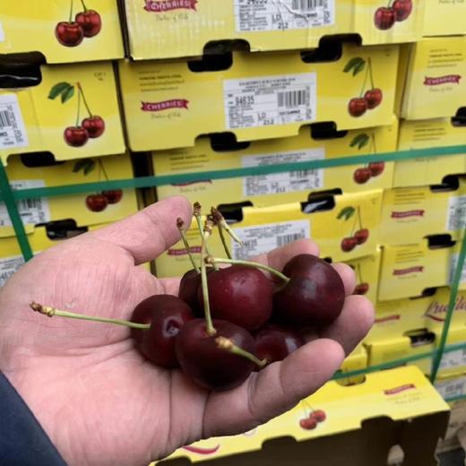 智利樱桃bing车厘子ld规格偏大3斤装5斤装原装箱约10斤包邮广西