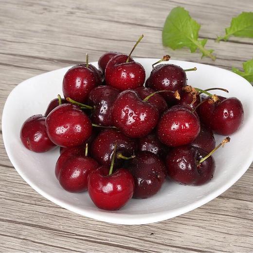 （永久下架）智利双J车厘子（1000g） 商品图1