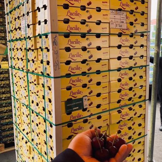 智利樱桃bing车厘子ld规格偏大3斤装5斤装原装箱约10斤包邮广西