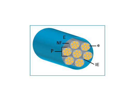 肌骨系统正常超声解剖图谱 商品图2