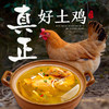 【2只鸡1盒蛋提货卡】原耕良仓纯粮散养0饲料0激素土鸡，活鸡现杀 商品缩略图1