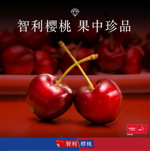 （永久下架）智利双J车厘子（1000g） 商品图0