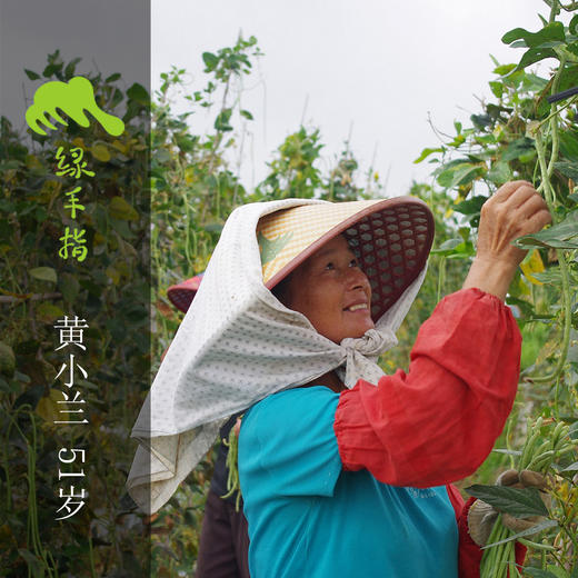 生态茴香 | 绿家自产*Ecological anise | In-House Production 商品图3