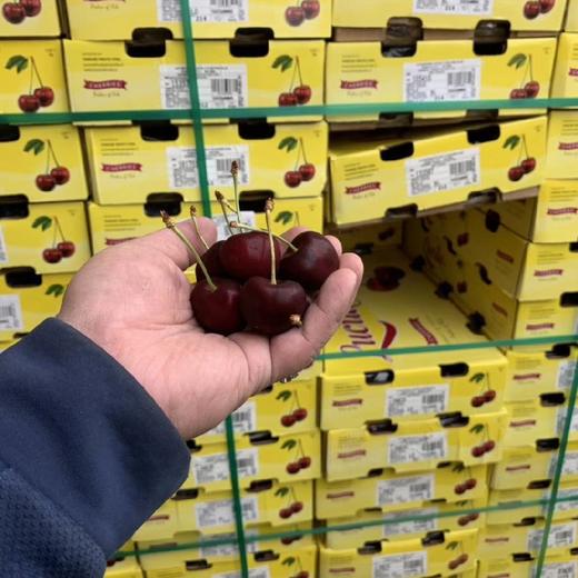 智利樱桃bing车厘子ld规格偏大3斤装5斤装原装箱约10斤包邮广西
