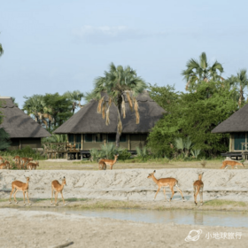 坦桑尼亚2023.08.14-08.22