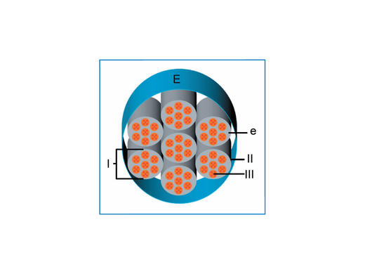 肌骨系统正常超声解剖图谱 商品图1