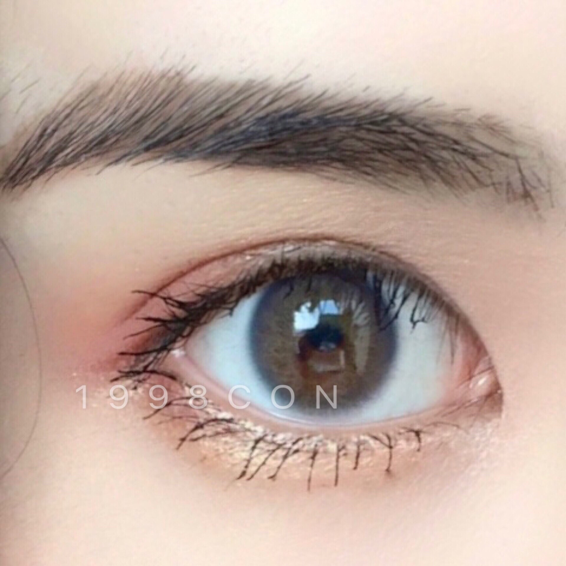 仿真瞳 蓝/棕(年抛型)