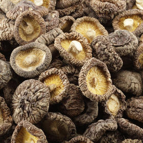 500g 瑞和泰散称一级香菇