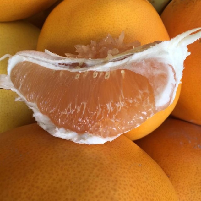 每月内购28号晚熟金橙黄金蜜柚3号910斤3只装8分甜2分酸甘肃宁夏内蒙