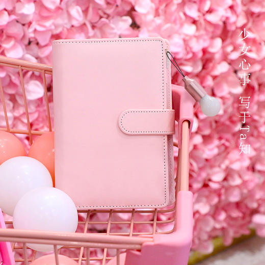 手账本创意韩国可爱彩页空白套装活页樱花插画手帐工具学生本子（送亮晶晶闪光笔*8只）） 商品图3