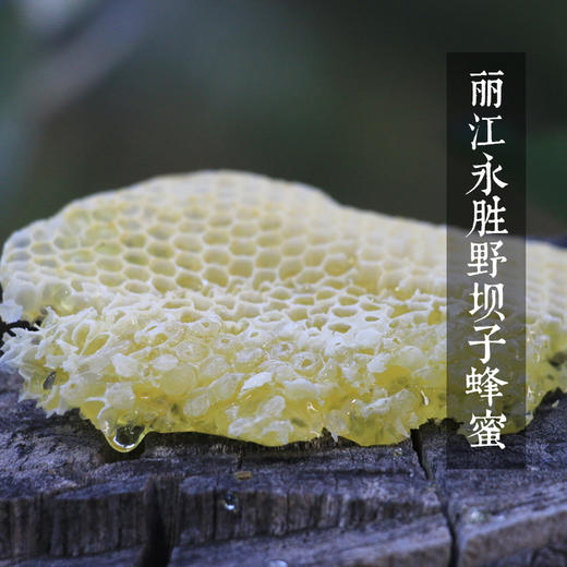 野坝子贡蜜 云南硬蜜 蜜中珍品 商品图0
