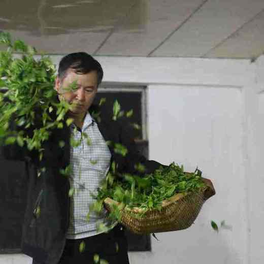 【买5免1】1200年野生古树滇红茶（2025年春茶），有点野，有点霸气 商品图1