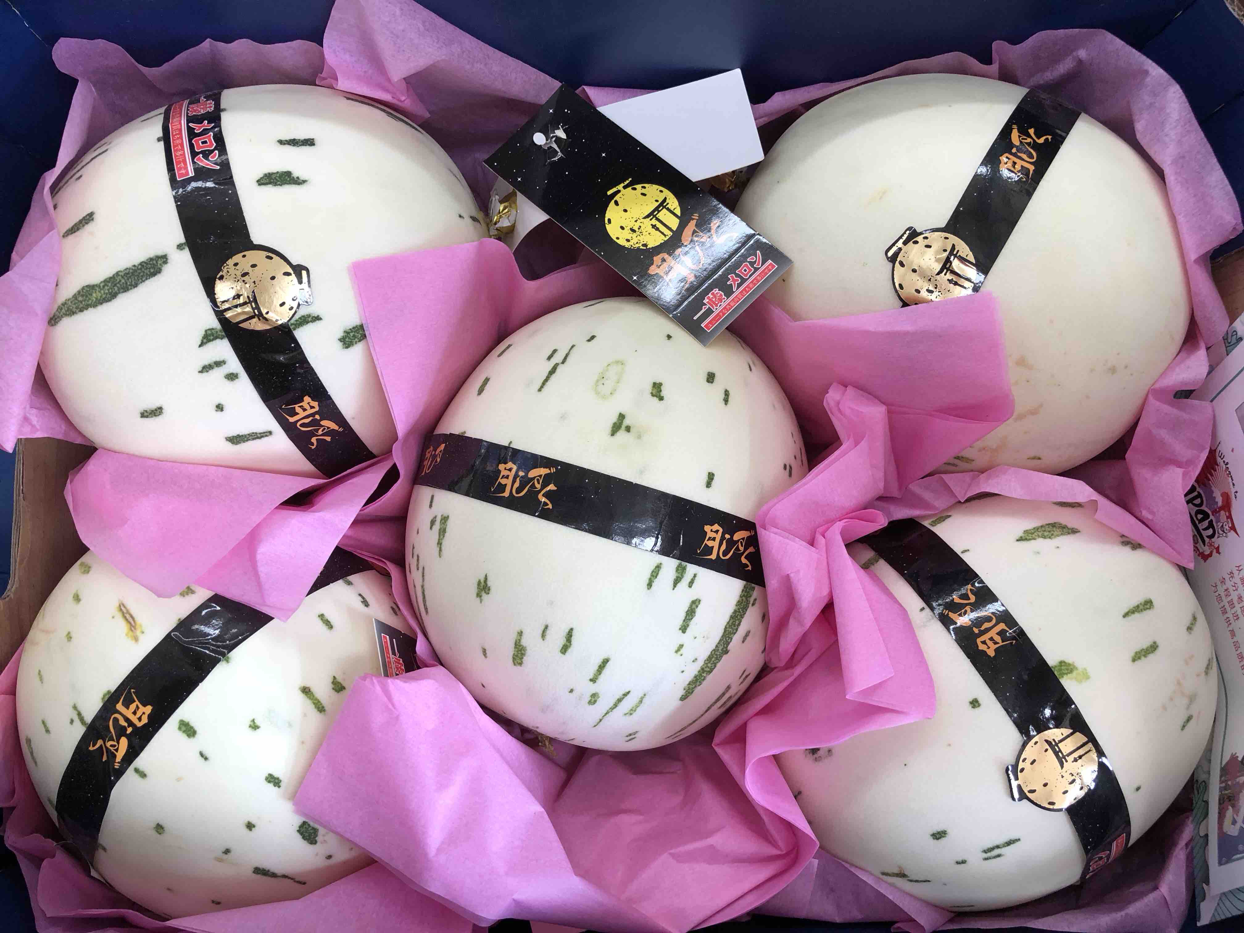 颜值与内涵并重的亚洲第一甜瓜月露蜜瓜非常非常好吃