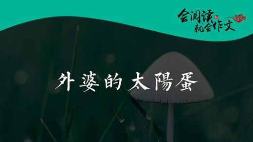 042 《外婆的太阳蛋》04 商品图0