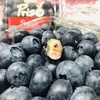 蓝莓【一箱12合】 商品缩略图0