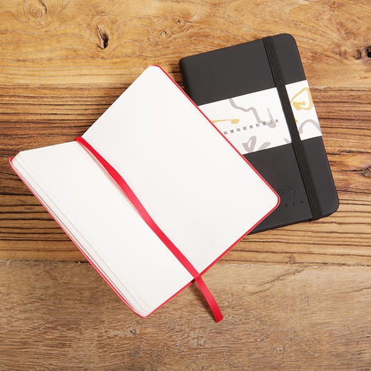 纵情向前系列  笔记本 商品图4