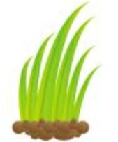 阿作更换绿植 商品图0