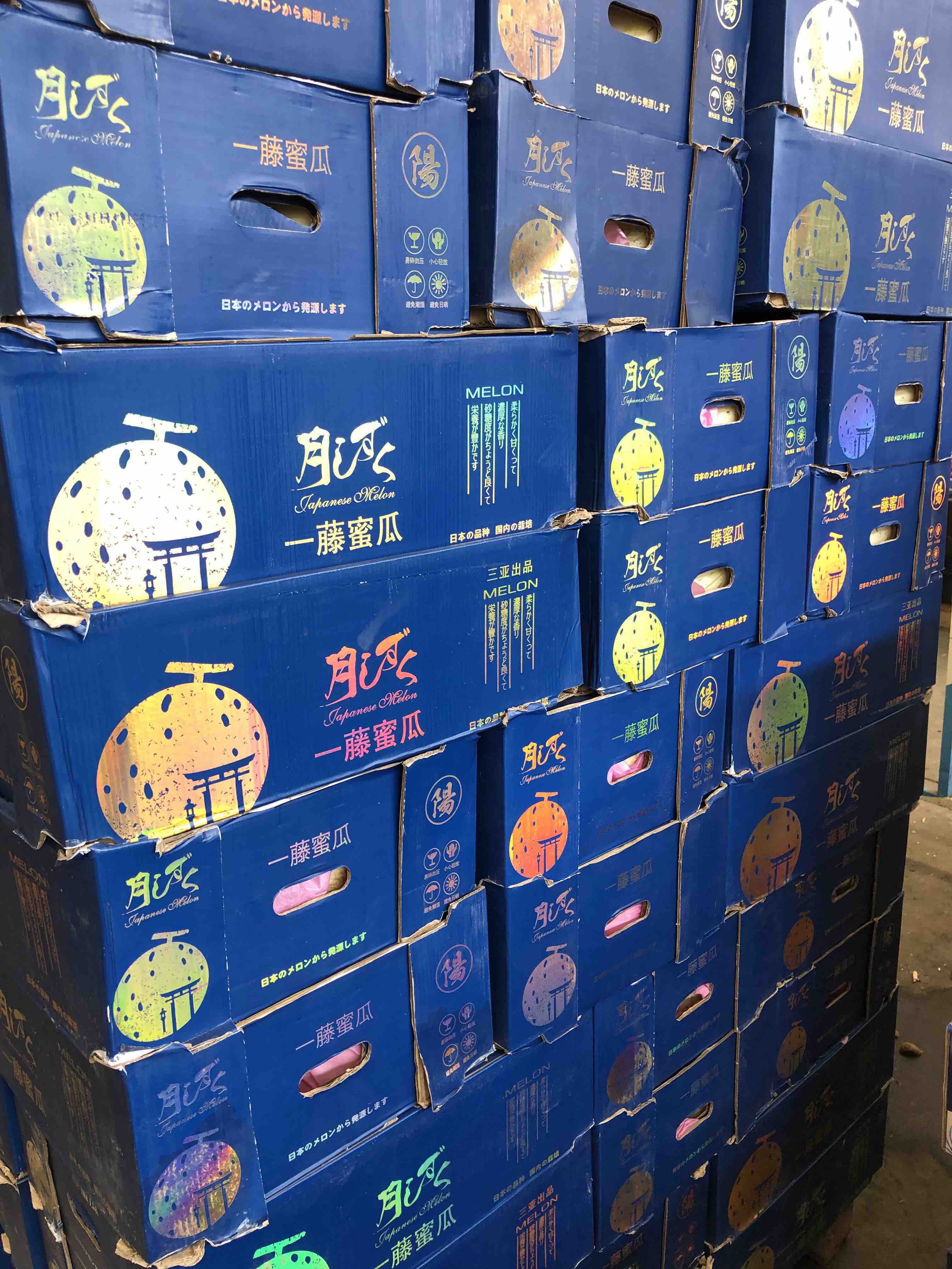 颜值与内涵并重的亚洲第一甜瓜月露蜜瓜非常非常好吃