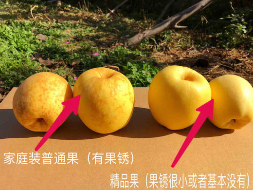 黄金维纳斯苹果，纯甜口感，没有一点酸味，带有独特果香气。 商品图1