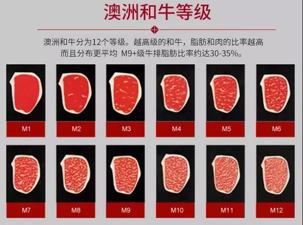 【已檢測核酸】澳洲m8-9和牛眼肉牛排,多種重量按需選擇 (重慶主城8區