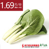 【18号提货】四季绿 小白菜  约300g/份 商品缩略图0