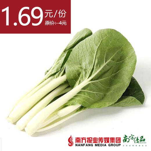 【18号提货】四季绿 小白菜  约300g/份 商品图0