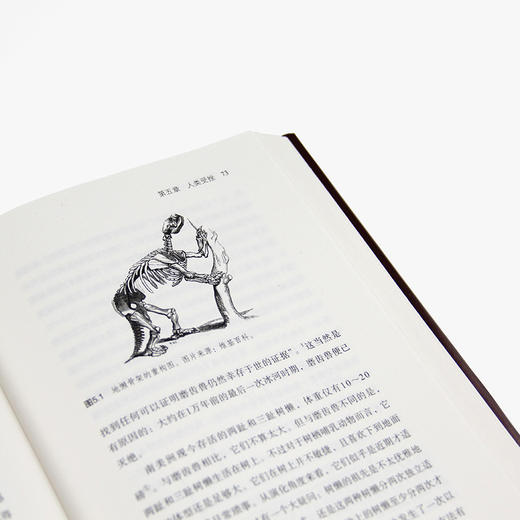 尼安德特人 2022年诺贝尔医学奖得主斯万·特帕博作品 现代分子DNA基因印记重建人类演化遗传史生物科学科普 商品图3