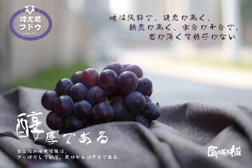 【推荐】匠心极峰尤君巨峰葡萄4.5斤 商品图4