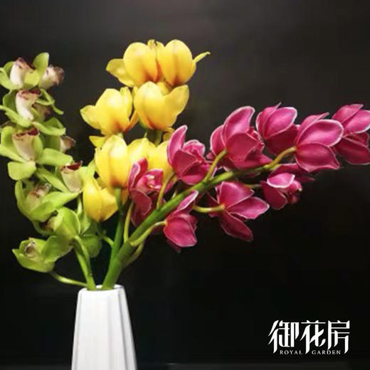 大花蕙兰 · 年宵花单品 商品图4