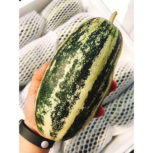 海南玲珑瓜约68斤份脆甜爽口瓜香四溢