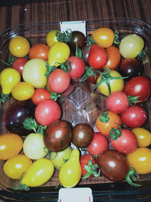 彩虹果500克5个国家22个品种的小番茄