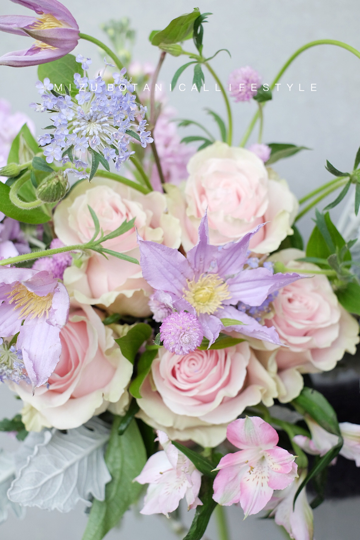 独角兽之谜 / (提前2天预定)