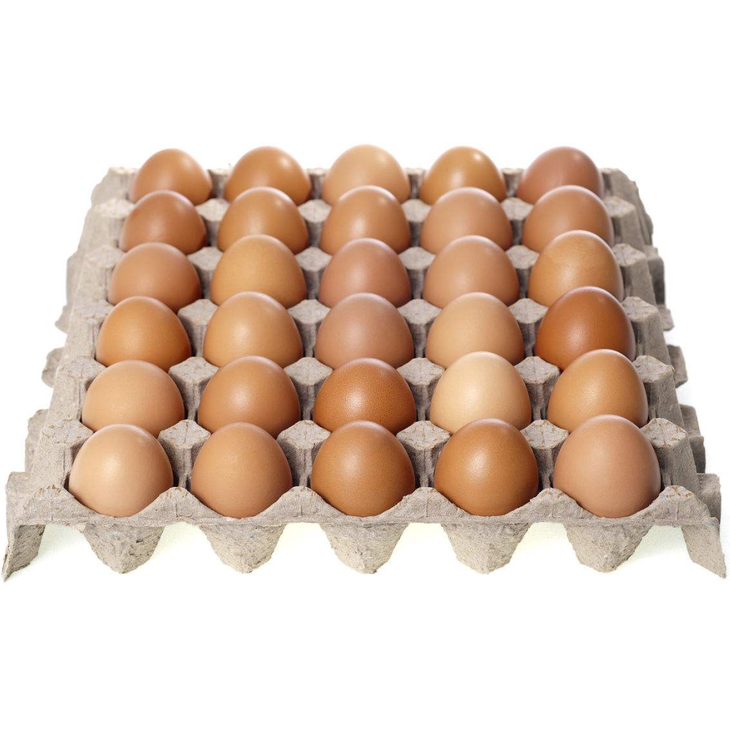 新鲜鸡蛋晋龙红皮鸡蛋一盘约3502斤蔬菜
