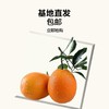 【惊爆预售】【17-20日下单    21-22日发货】纽荷尔橙礼盒2.5kg 商品缩略图0