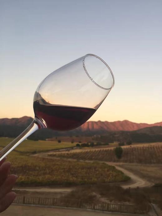 葡萄酒中的小公举|BALDUZZI智利顶级葡萄酒，自饮好喝，送人体面、美容安眠 商品图1