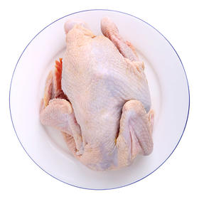 【特惠价】苏食天农138原种清远鸡800g/只【025】