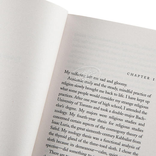 【中商原版】少年派的奇幻漂流 英文原版 Life Of Pi Yann Martel 小说 电影原著 商品图3