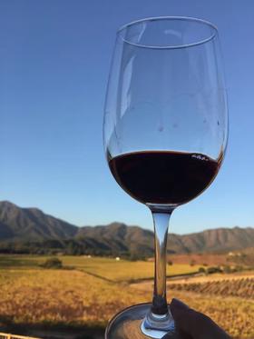 葡萄酒中的小公举|BALDUZZI智利顶级葡萄酒，自饮好喝，送人体面、美容安眠