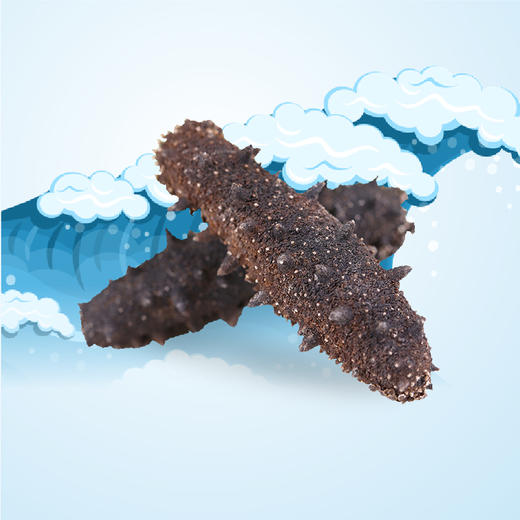 青岛田横岛水漫池无添加纯淡干海参