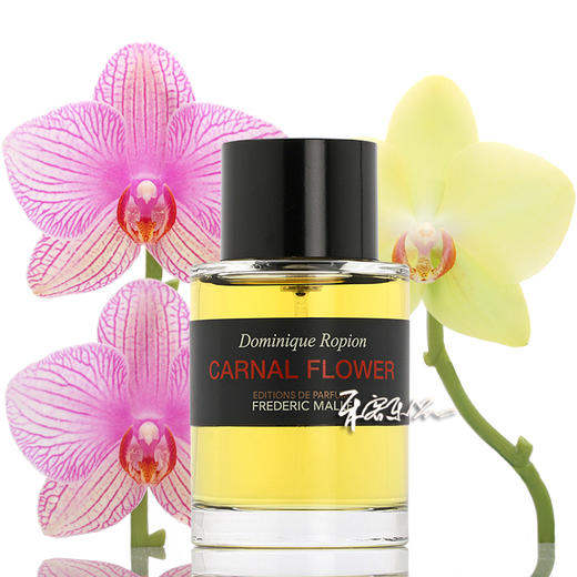 馥马尔 花香染指醉人晚香玉 Frederic Malle Carnal Flower  小样/正装 商品图0