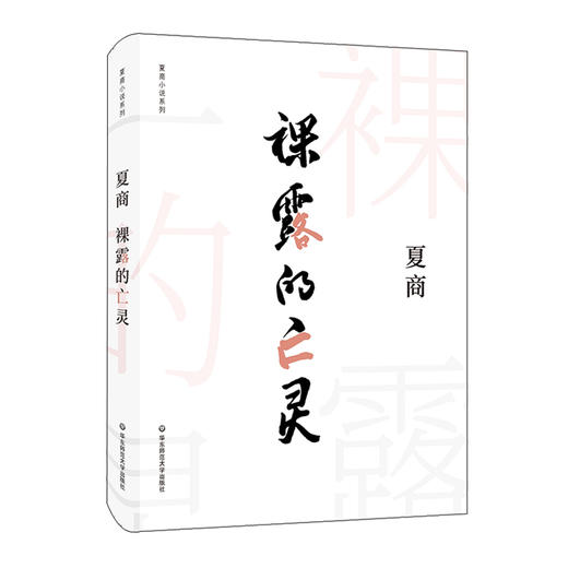 裸露的亡灵 夏商小说系列 先锋实验 生命终极意义哲学命题 精装 商品图0