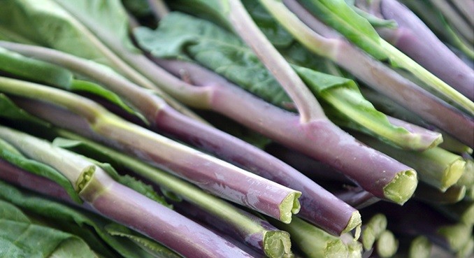 【特级专供】普宁大坝红脚芥蓝 独特香味,特别脆香 特有品种 新鲜采摘