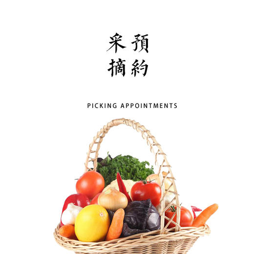 采摘预约 商品图0