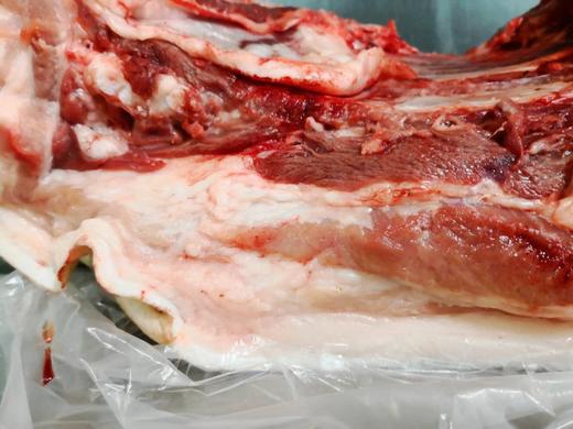 赤峰红山草猪 商品图1