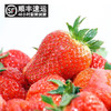 辽宁丹东红颜草莓 特级大果2.5斤 商品缩略图1