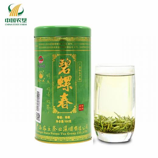 【中国农垦】大明山 碧螺春绿茶 农垦茶叶 质量可追溯 绿茶100g/罐 商品图0