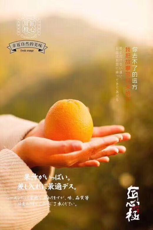 新包装云冠橙匠心极甜橙甜度高肉质紧致水分很足
