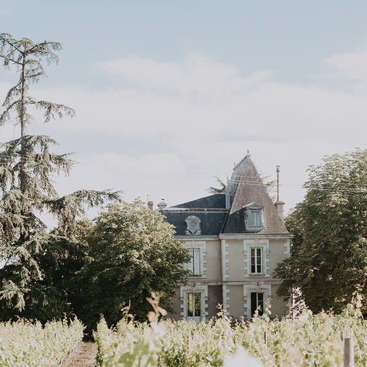 柏菲康葡萄酒2014 Chateau du Pavillon 商品图2
