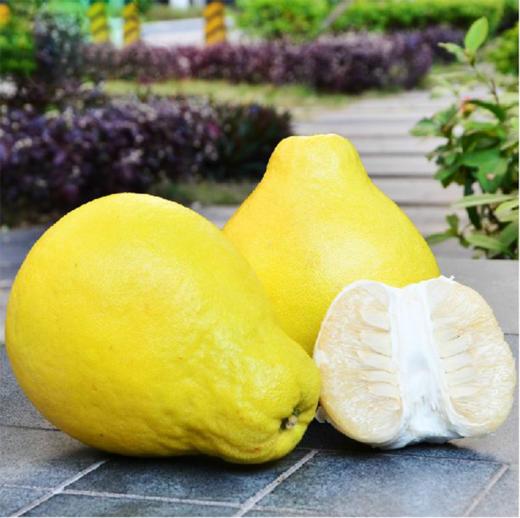 品城记甄选梅州特产冰糖老树柚必备年货水果送礼佳品10斤4个礼盒装只